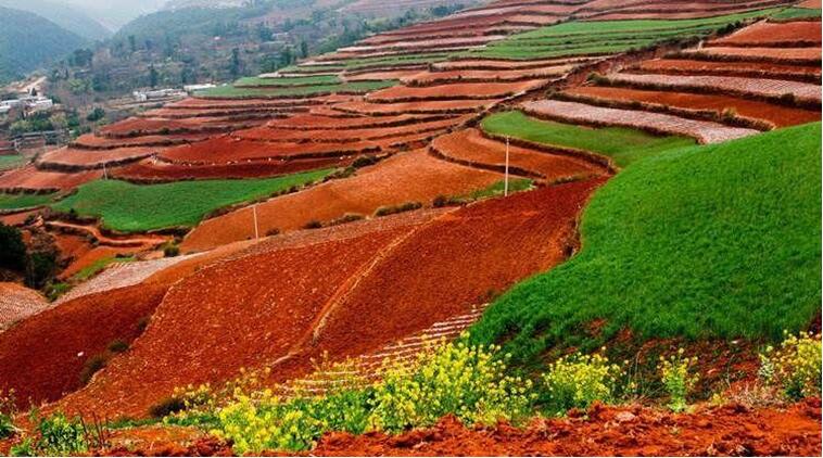 中國土壤幾病癥，該如何管理土壤？