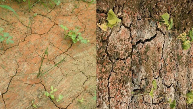 1619056553957474.png 2.png