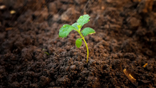 1619056637485088.png 3.png