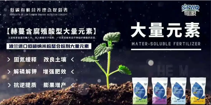 如何選擇葉面肥？葉面肥的施用形式你了解嗎？