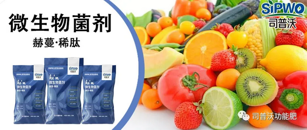 赫蔓微生物菌劑-分解毒素、改良土壤、調(diào)節(jié)生命活動(dòng)、抑制土壤病菌