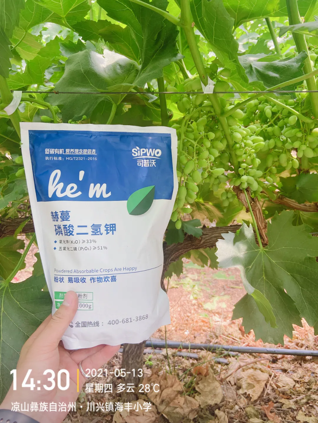 磷酸二氫鉀的辨別真假現(xiàn)場(chǎng)，99%以上是假貨！