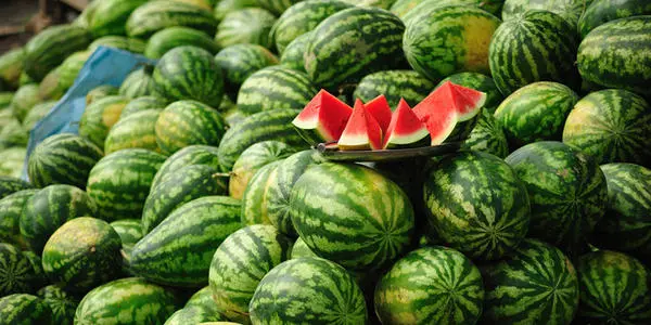 西瓜裂果怎么辦？除了水的管理還要補(bǔ)充這個!