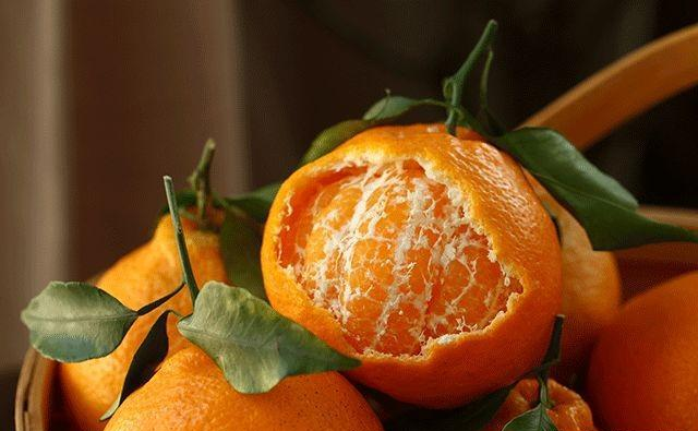 柑橘果面好，果肉卻干水，司普沃與您一起找原因、找方法