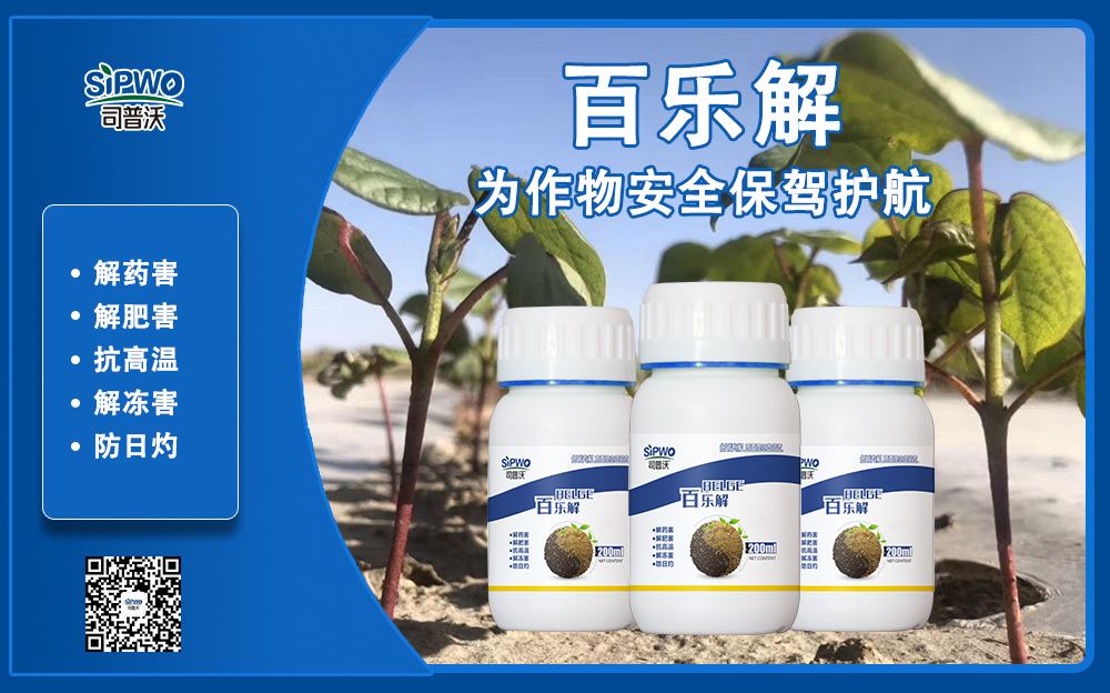 司普沃赫蔓百樂解，解凍害、解肥害、解藥害，棉花上再顯神威！