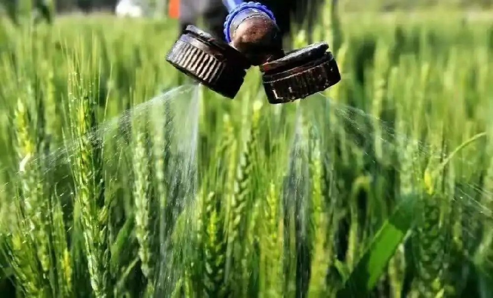 如何科學施用葉面肥？種植戶可長點心！