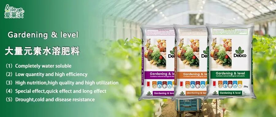 愛萊沃意大利原包進(jìn)口大量元素水溶肥料|世界品質(zhì)，火爆“炸市”
