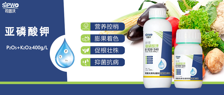 赫蔓·亞磷酸鉀|亦藥亦肥：營養(yǎng)控梢，防病抑菌用處大