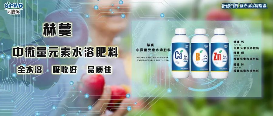 中微量元素鈣、硼、鋅|移動(dòng)快、吸收好、營養(yǎng)全、品質(zhì)佳