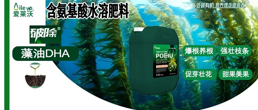 愛萊沃·破除藻油DHA|爆根養(yǎng)根、強(qiáng)壯枝條、促芽壯花、甜果美果
