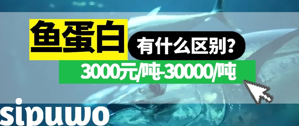 3000-30000元/噸的魚(yú)蛋白有多大差距？一篇文章告訴你！